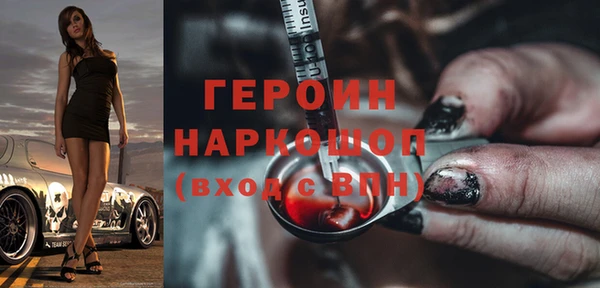 молекула духа Вяземский