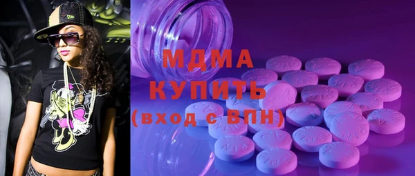 молекула духа Вяземский