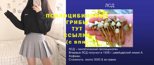 ECSTASY Вязьма