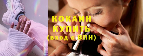 молекула духа Вяземский