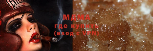 молекула духа Вяземский
