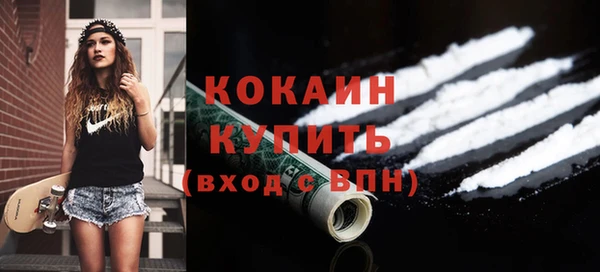 молекула духа Вяземский