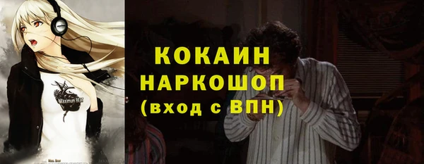 молекула духа Вяземский