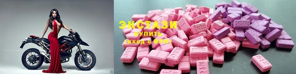 молекула духа Вяземский