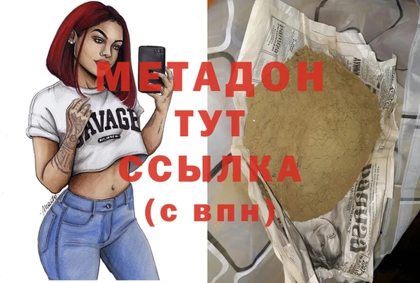 молекула духа Вяземский