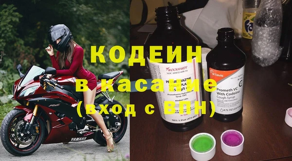 молекула духа Вяземский