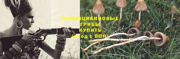 молекула духа Вяземский