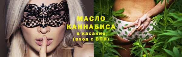 молекула духа Вяземский